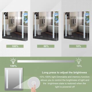 WELLFOR 30 in. W x 30 in. H Medium Aluminum Recessed or Surface Mount Medicine Cabinet with Mirror and Lighted W4MCL3030