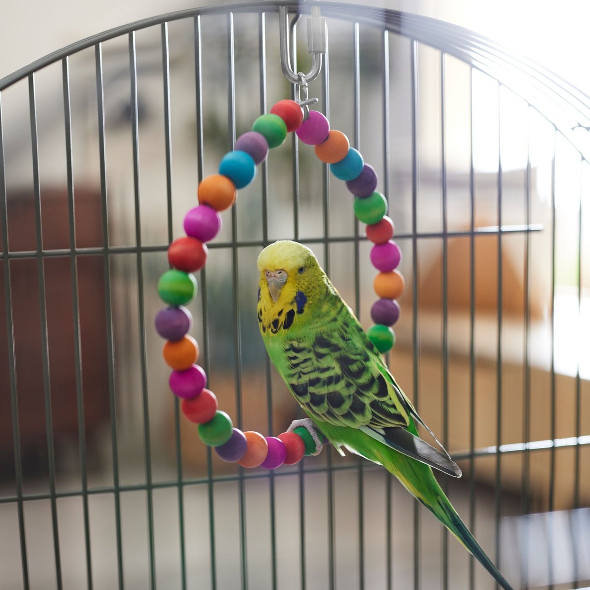 Frisco Beaded Halo Bird Toy