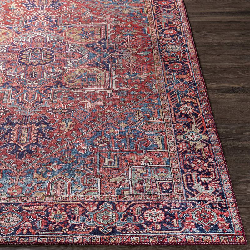 Looneind Traditional Area Rug