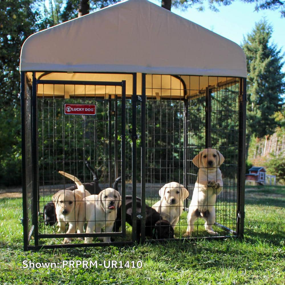 Lucky Dog STAY Series Studio Jr. (Coverage Area - 0.00037-Acres) In-Ground Kennel (4 ft. x 4 ft. x 4 in. H) Khaki PRPRM-UR1410