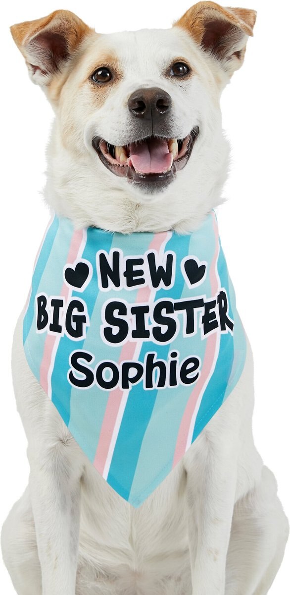 Frisco Big Sister Personalized Dog and Cat Bandana