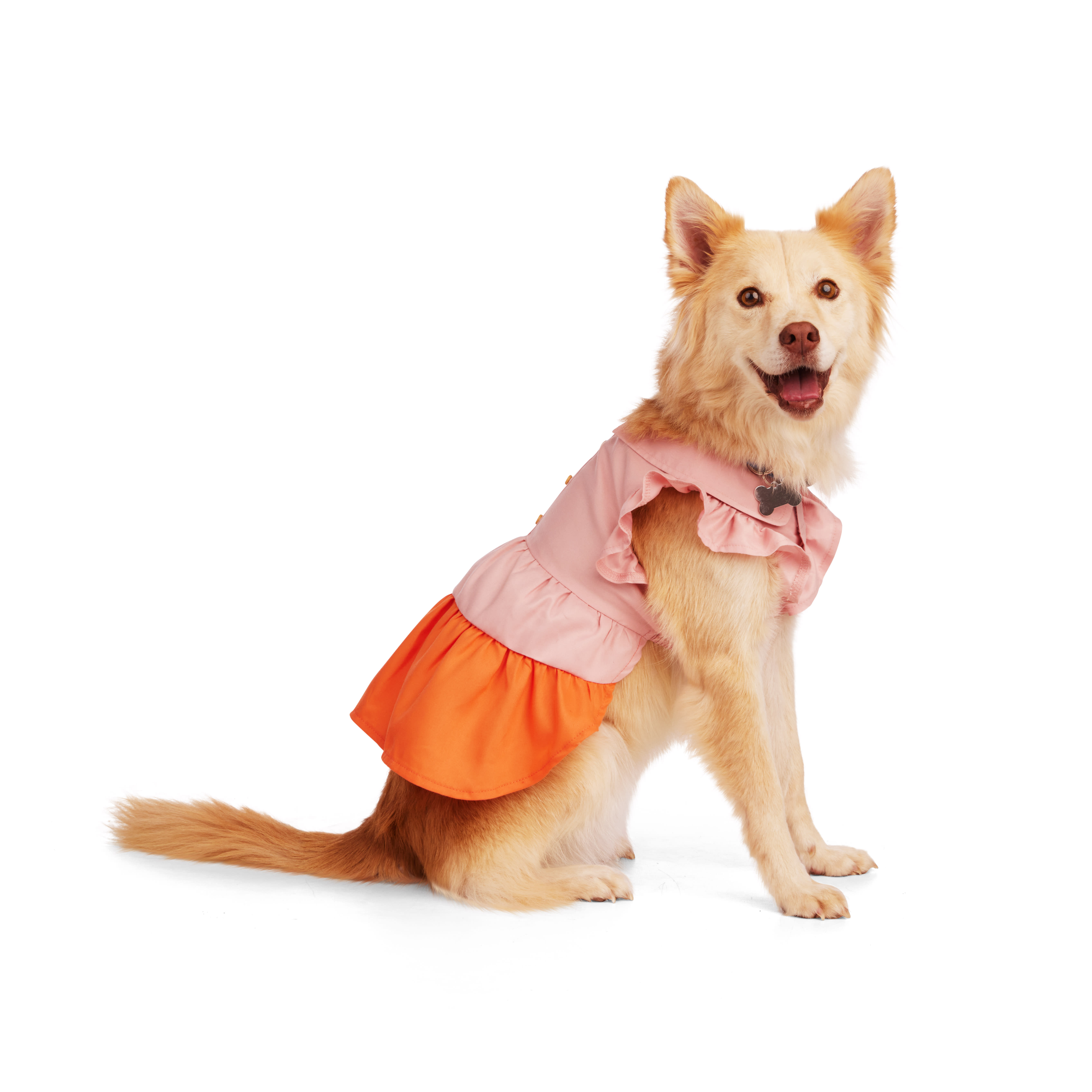 YOULY Pink Collared Dog Dress， XX-Small