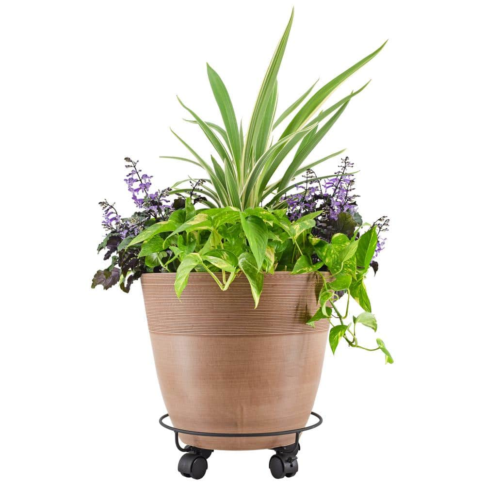 Arcadia Garden Products 13 in. Black Metal Heavy-Duty Plant Caddy 1560