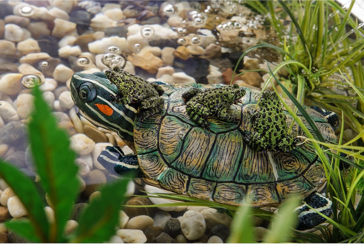 Exo Terra Turtle-Turtle Island Reptile Terrarium Ornament