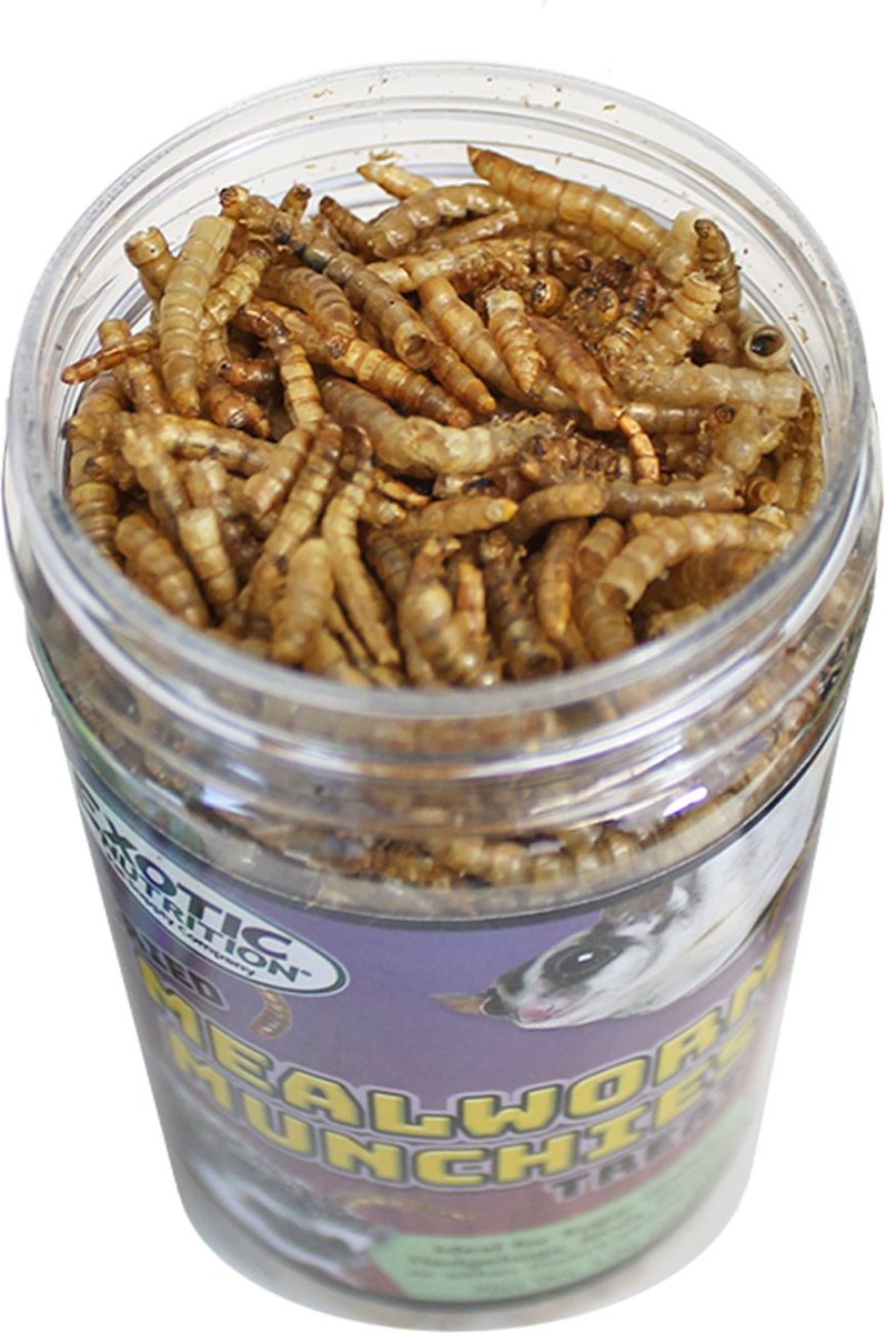 Exotic Nutrition Mealworm Munchies Hedgehog and Sugar Glider Treats， 1.96-oz jar