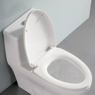 12 in. Rough-In 1-piece 1.61.1 GPF Dual Flush Elongated Toilet in White Slow Close Seat Included ALDMT78SM