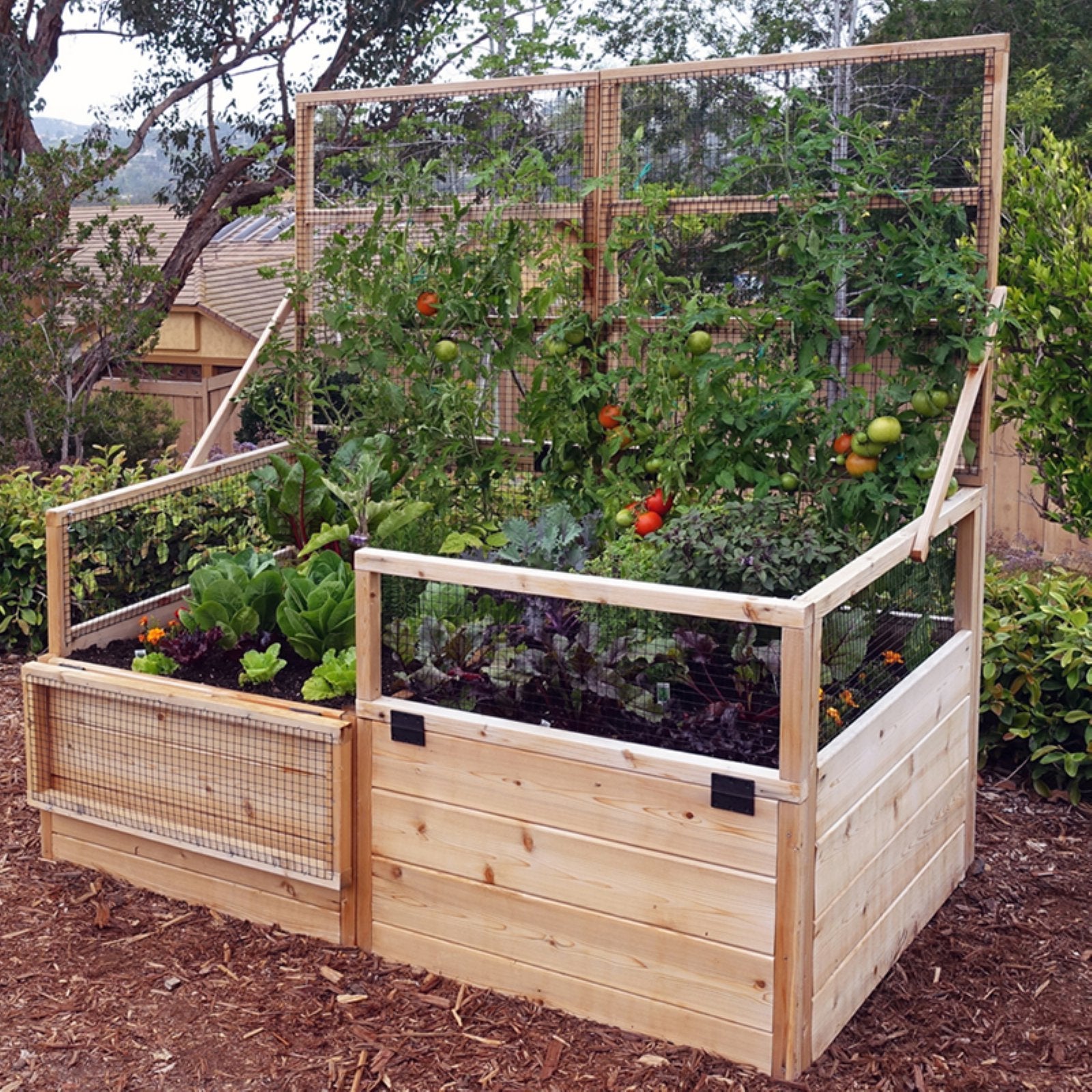 Outdoor Living Today Raised Cedar Garden Bed with Trellis/Lid - 6 x 3 ft.