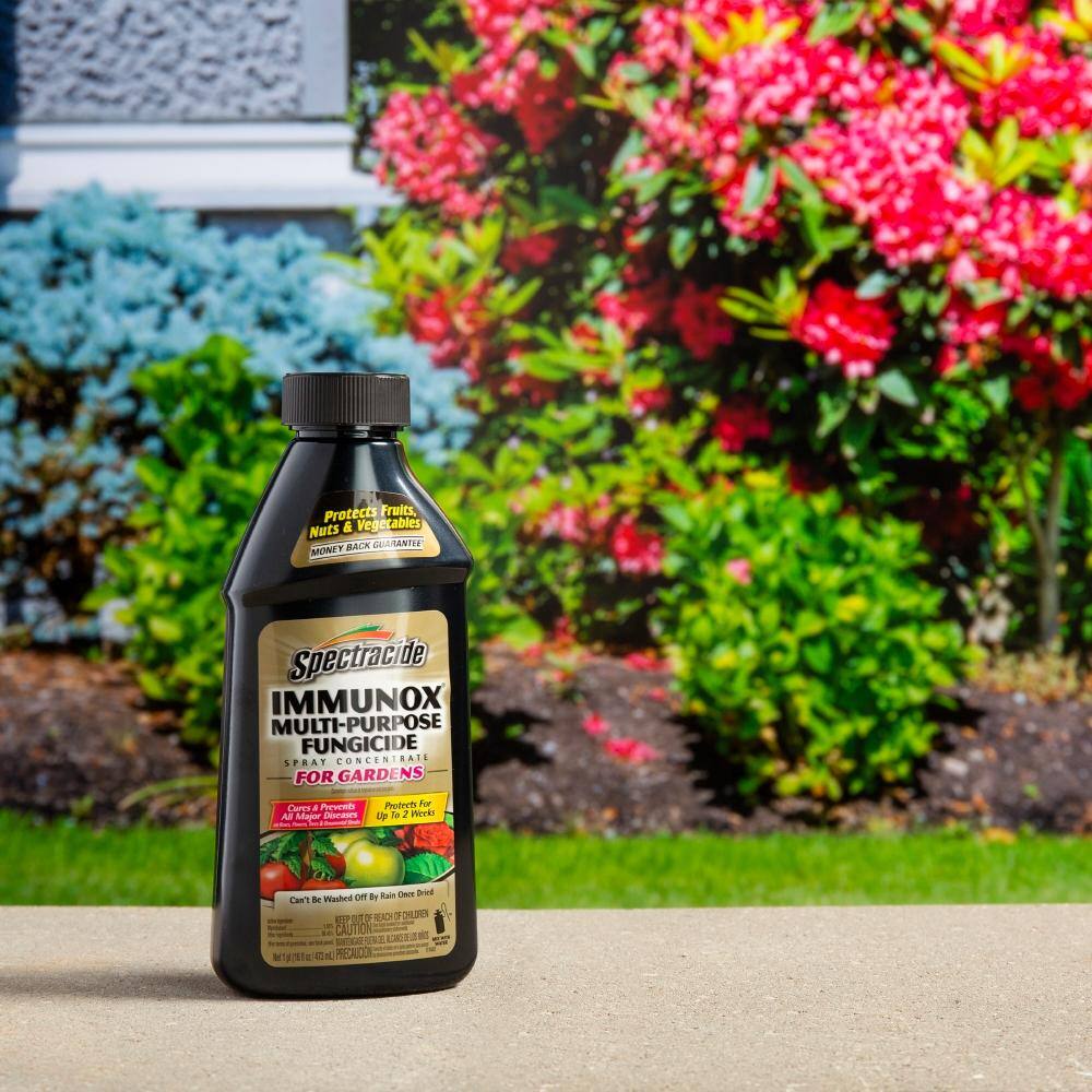 Spectracide Immunox Multi-Purpose Fungicide 16 oz Spray Concentrate For Gardens HG-51000-2