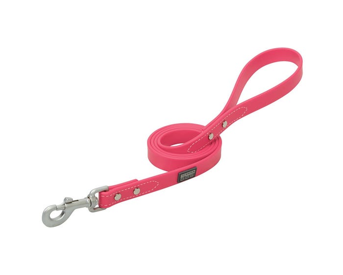 Terrain D.O.G. Brahma Webb® Dog Leash， 3/4 x 4-Foot， Hot Pink - 07-3127-HP-4