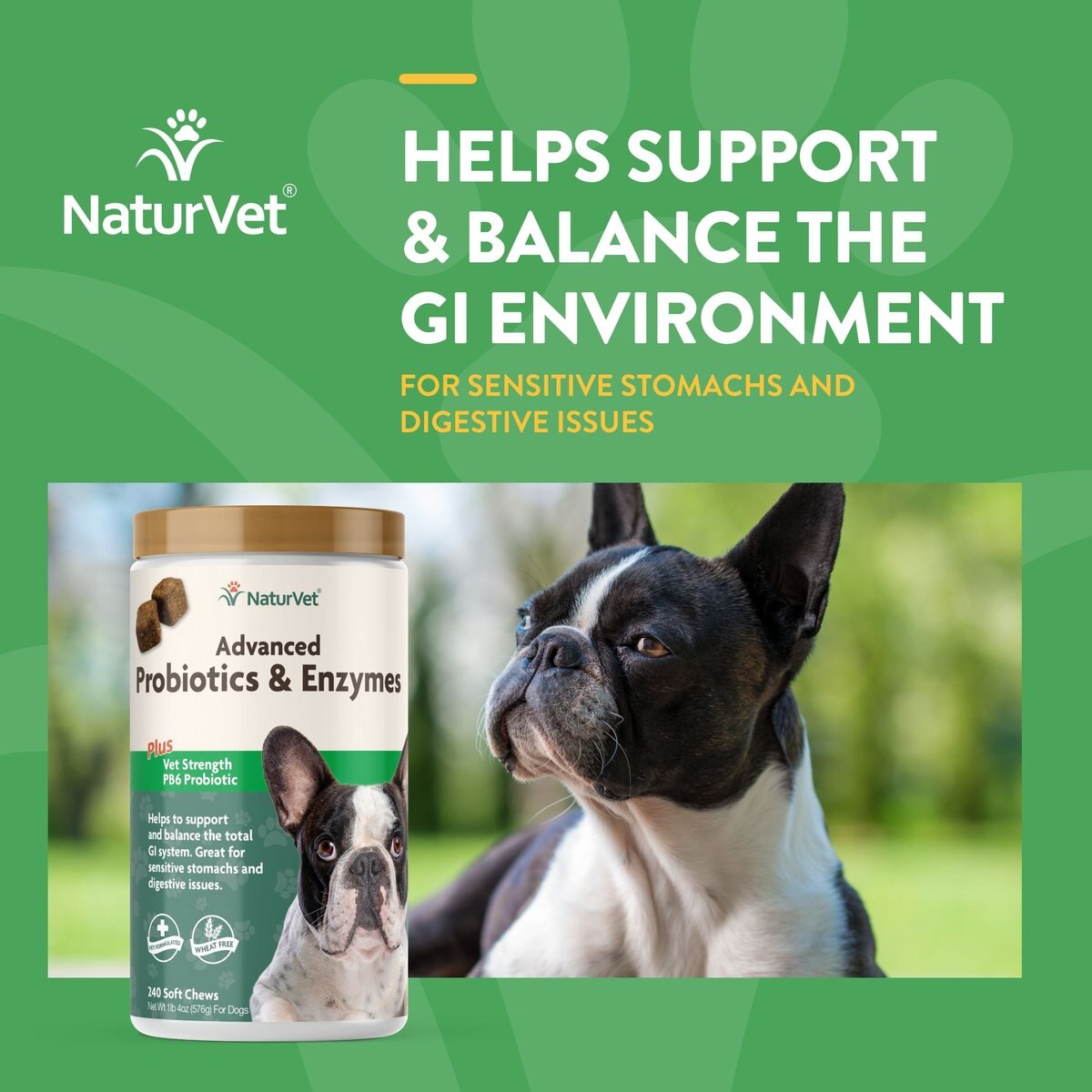 NaturVet Advanced Probiotics and Enzymes Plus Vet Strength PB6 Probiotic Soft Chews Digestive Supplement for Dogs