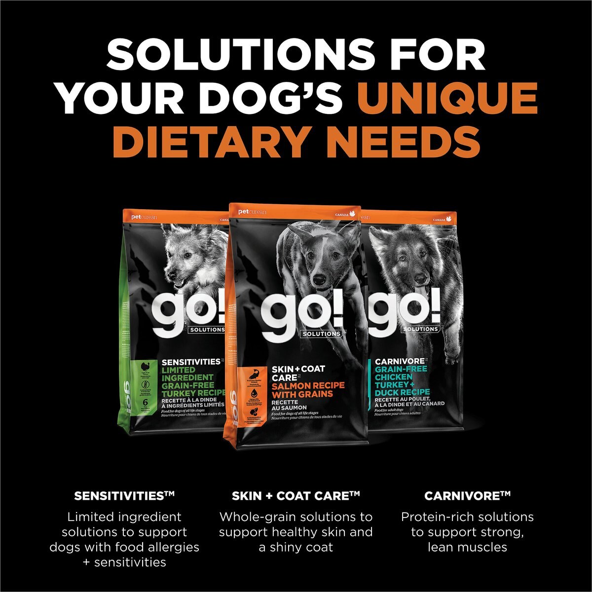 Go! Solutions Skin + Coat Care Salmon Recipe Dry Dog Food