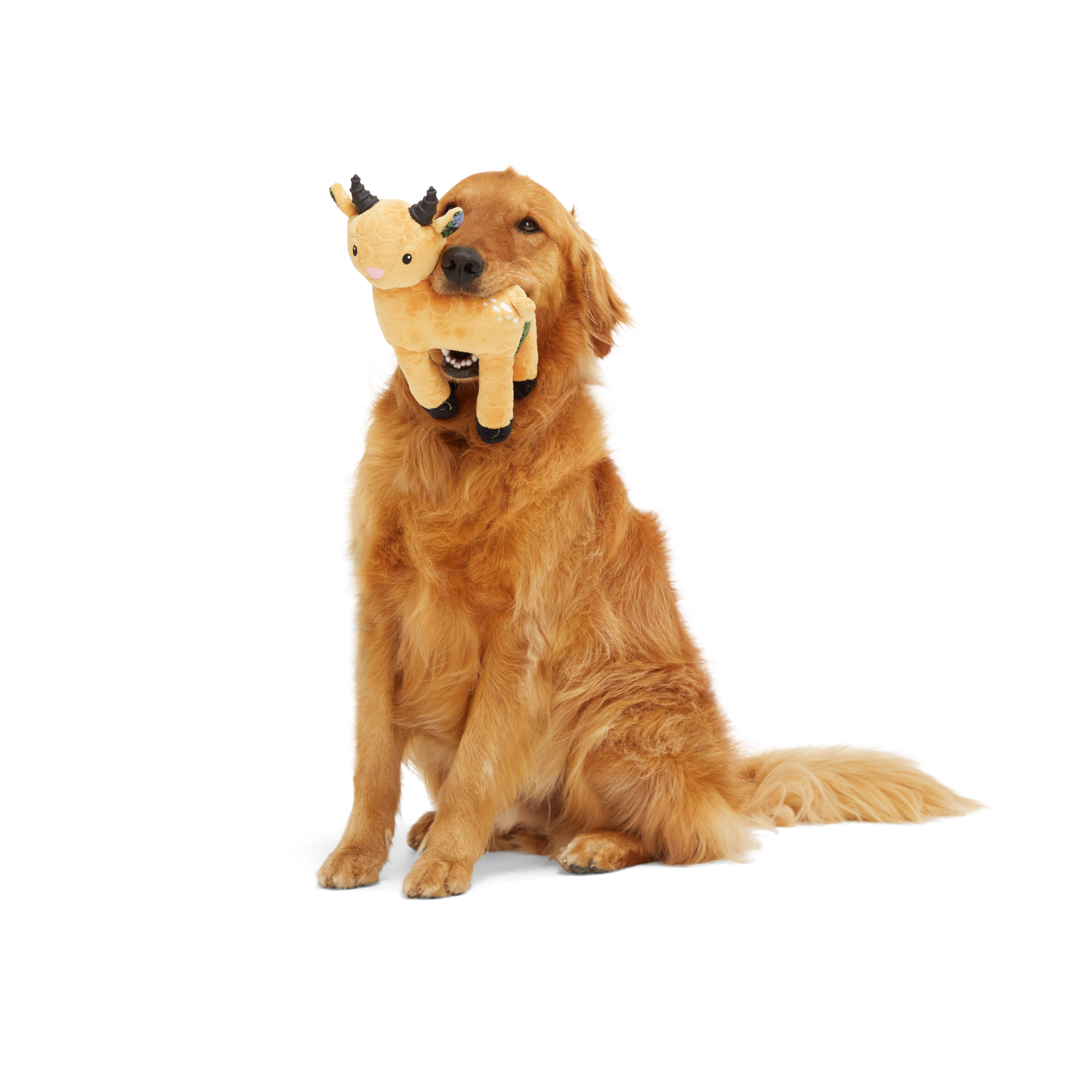 Leaps  Bounds Tough Deer with Rubber Horns Dog Toy