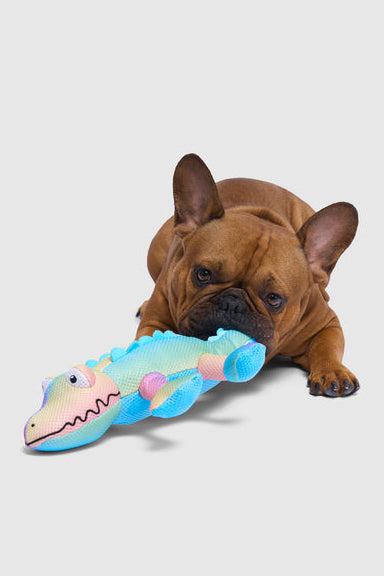 Canada Pooch Chill Seeker Cooling Pals Rainbow Crocodile Dog Toy