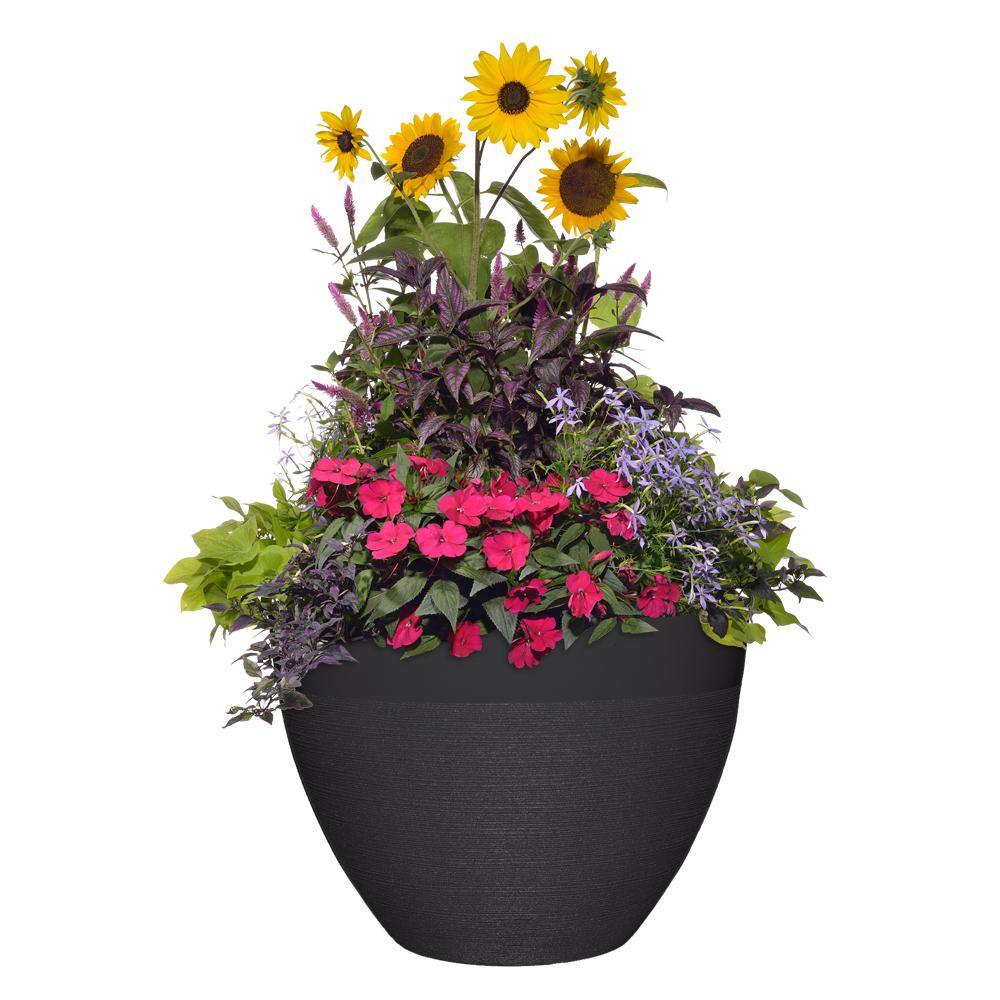 CHG CLASSIC HOME  GARDEN 22 in. Decatur Black Resin Planter HD1330-001S