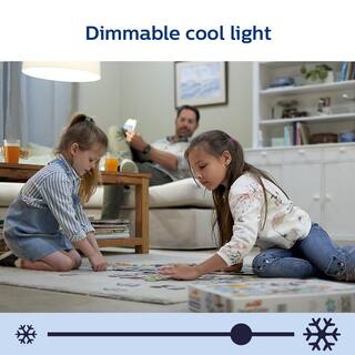 Philips Daylight A19 LED 60W Equivalent Dimmable Smart Wi-Fi Wiz Connected Wireless Light Bulb (1-Pack) 555482