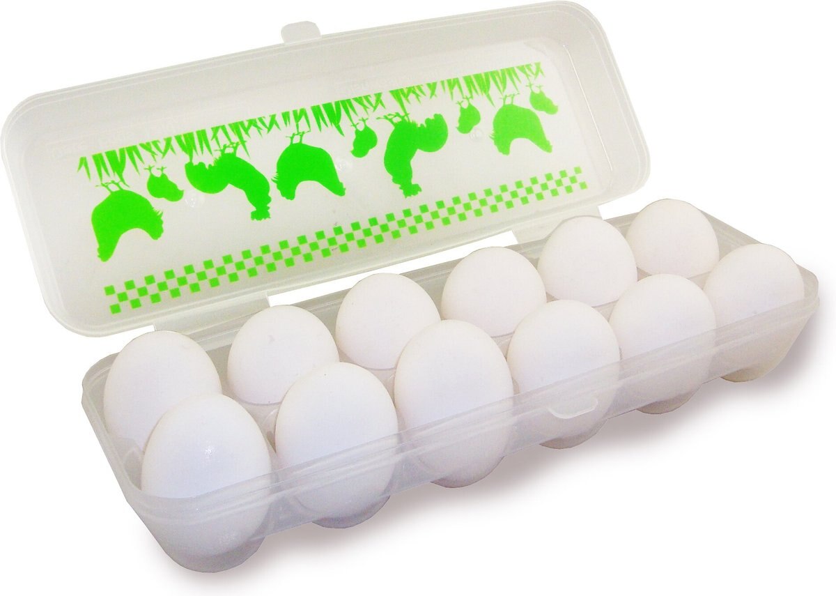 Lixit Plastic Egg Carton