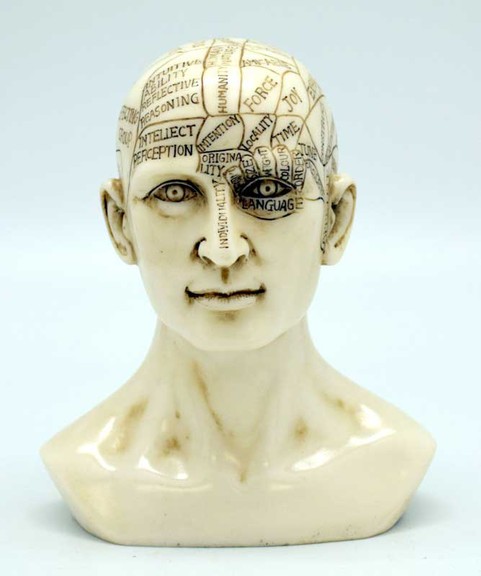 AzureGreen RH711  6 Phrenology Head