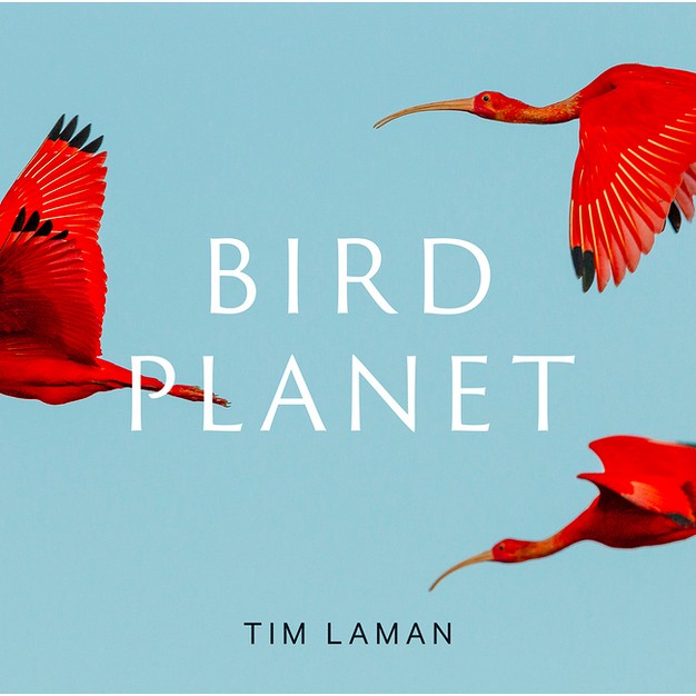 Bird Planet By Tim Laman hardcover