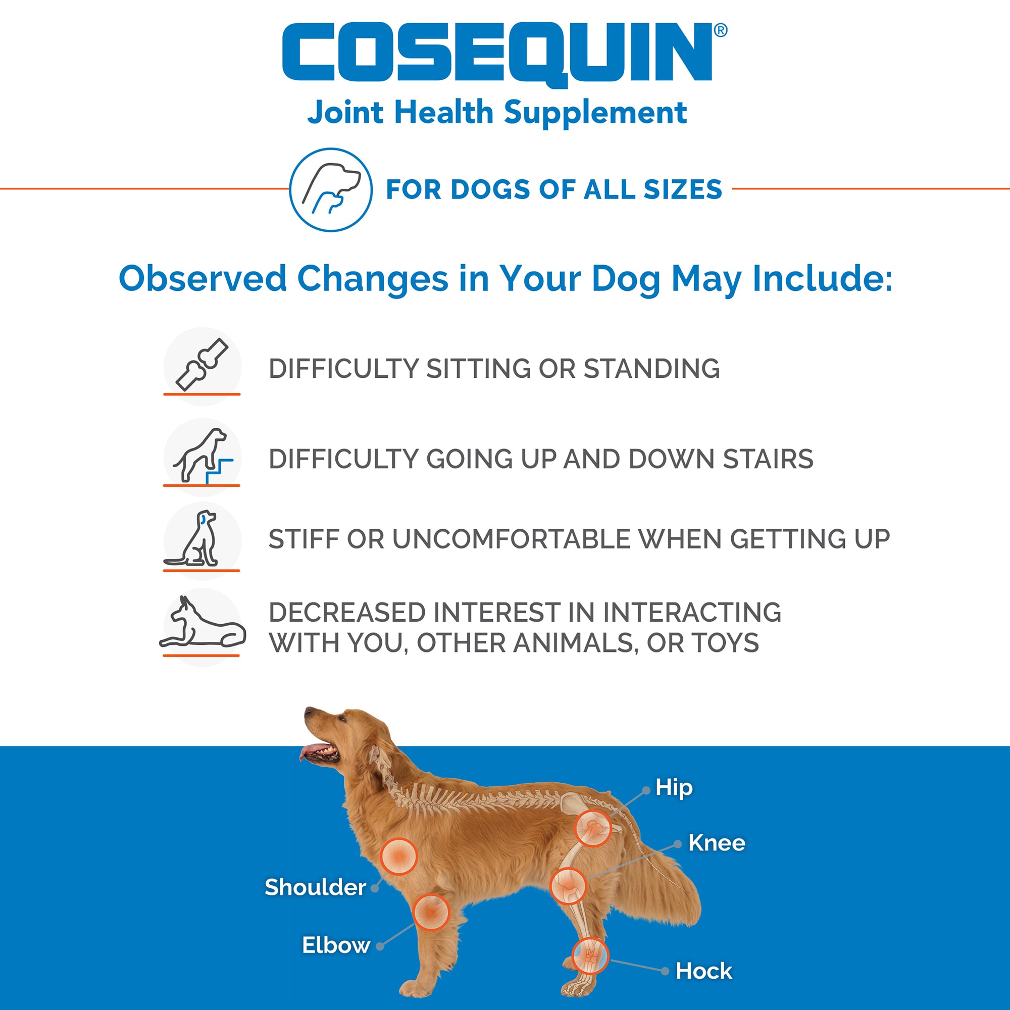 NUTRAMAX COSEQUIN DS Maximum Strength Plus MSM  Omega-3s Chewable Tablets for Dogs， Count of 120