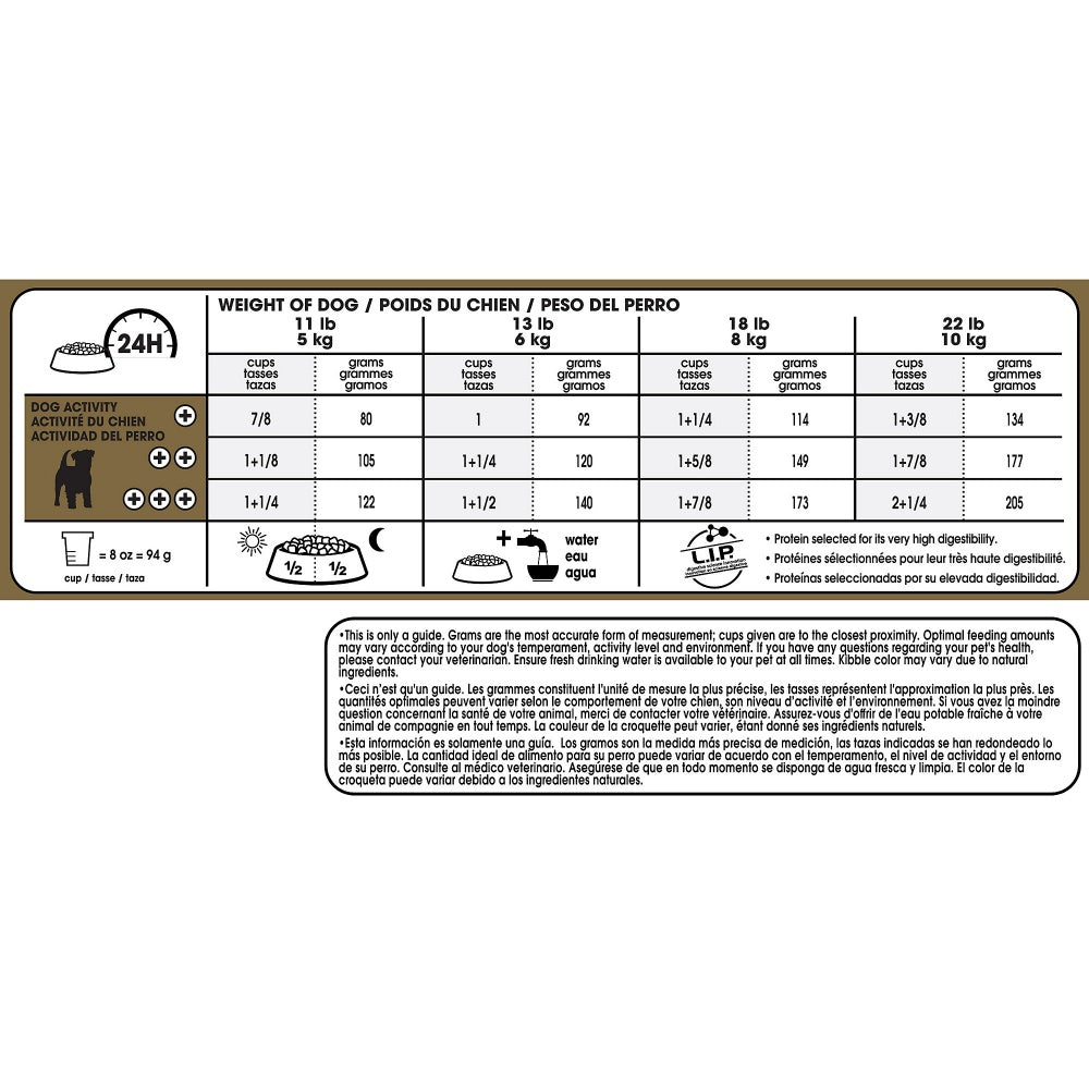 Royal Canin Breed Health Nutrition Adult Jack Russell Terrier Dry Dog