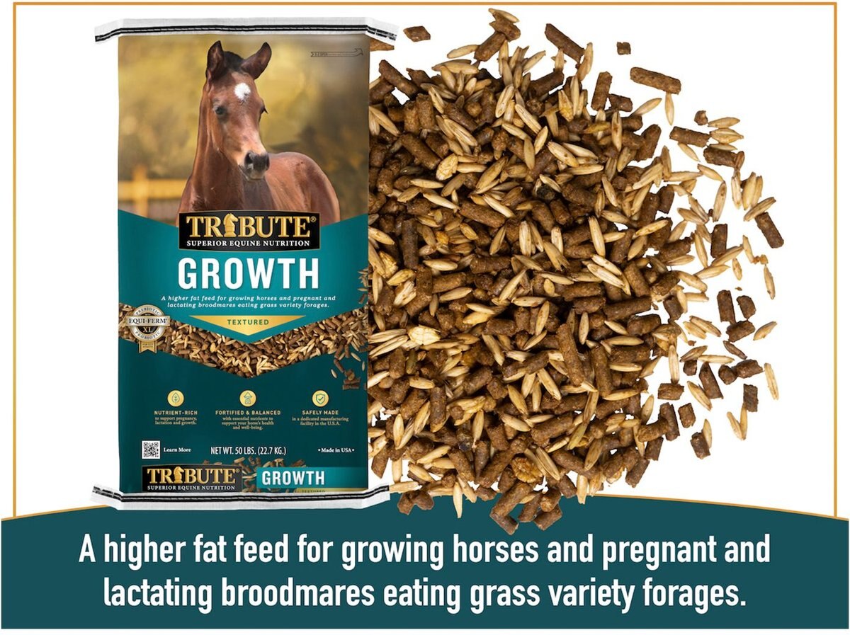 Tribute Equine Nutrition Growth Textured Horse Feed