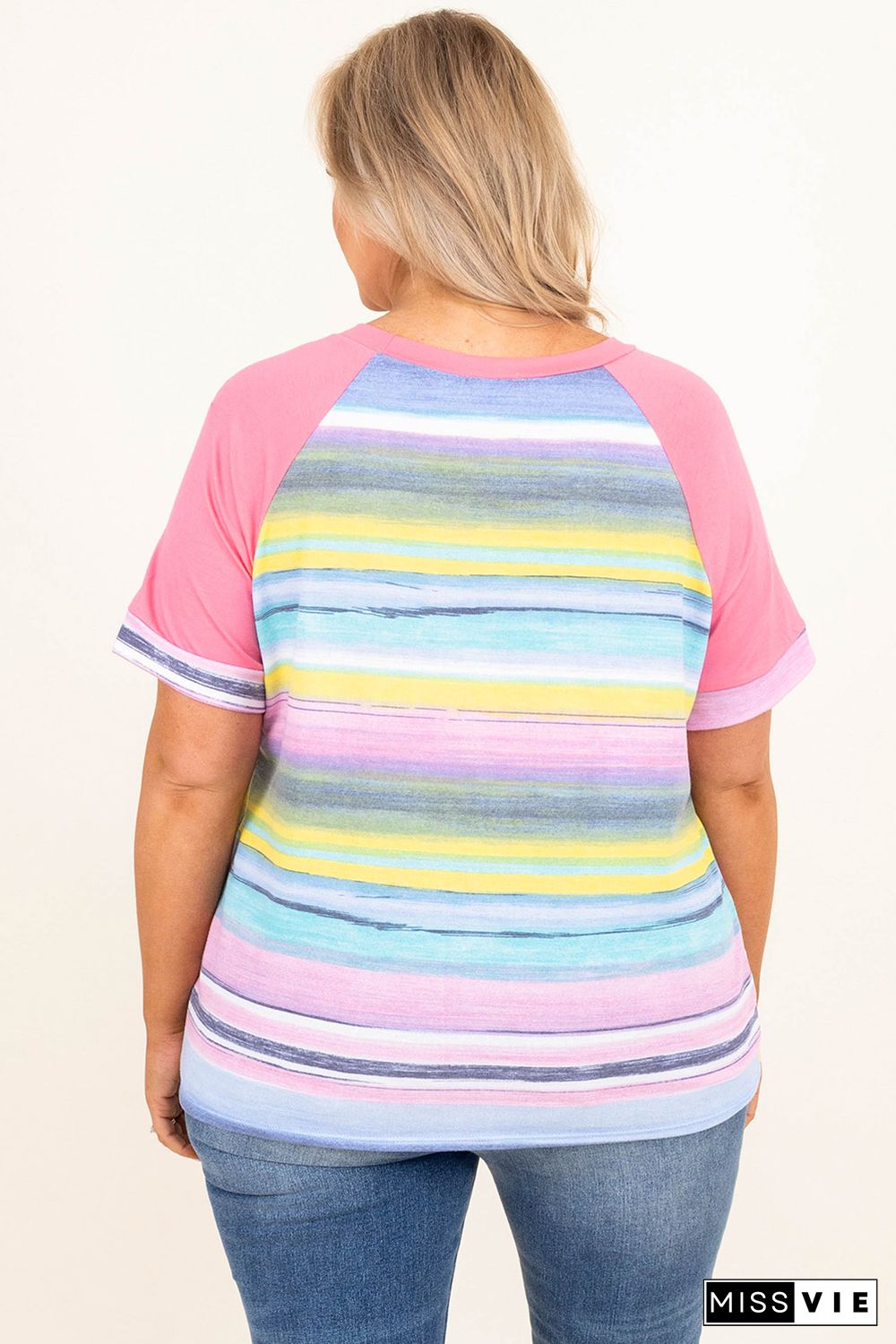 Multicolor Striped Plus Size Raglan Sleeve Top