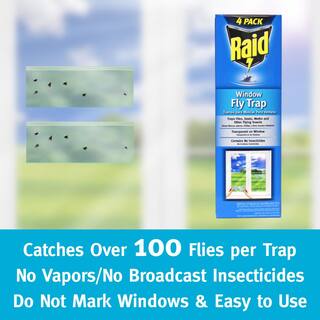 Raid Window Fly Trap (4- Pack) FTRP-RAID