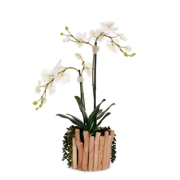 Real Touch Orchids in Glass Vase Wood Branches Planter