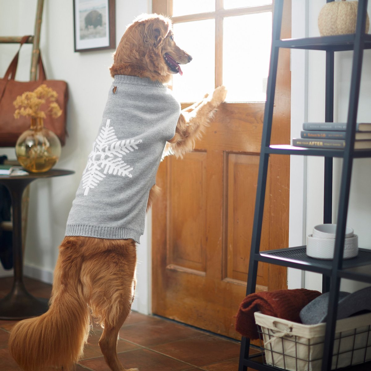 Frisco Snowflake Dog and Cat Sweater