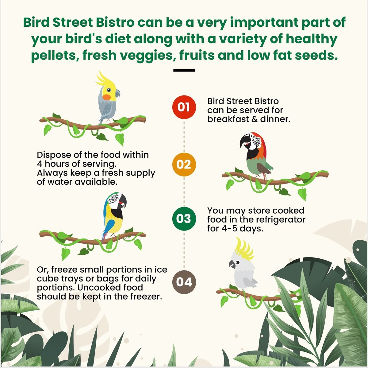 Bird Street Bistro Tropical Feast on the Fly Bird Food