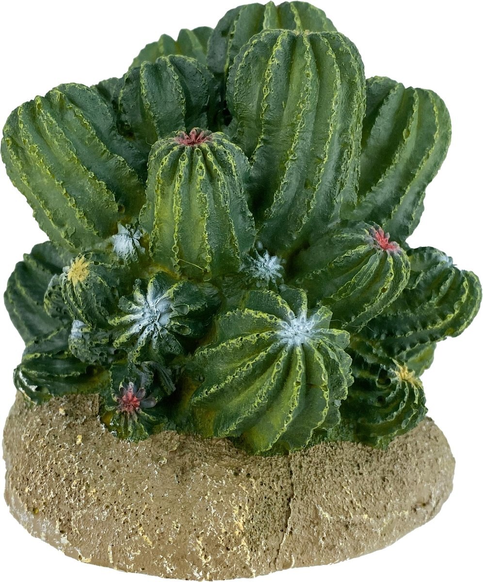 Komodo Cactus Barrel Reptile Ornament， Green