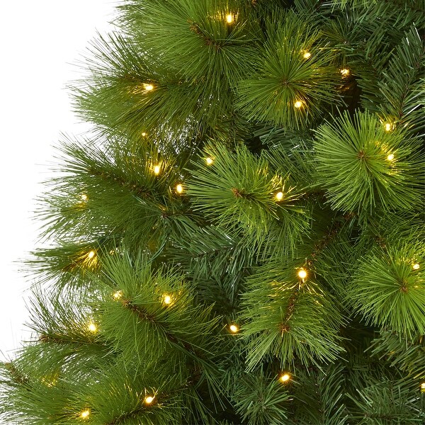 8' Green Scotch Pine Christmas Tree with 600 Clear LED Lights