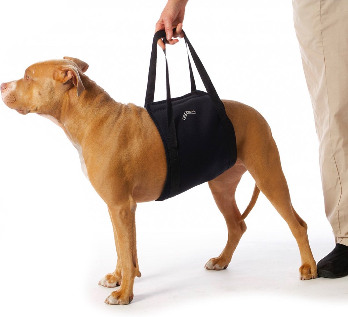 WALKABOUT Walkabelly Support Sling Dog Harness