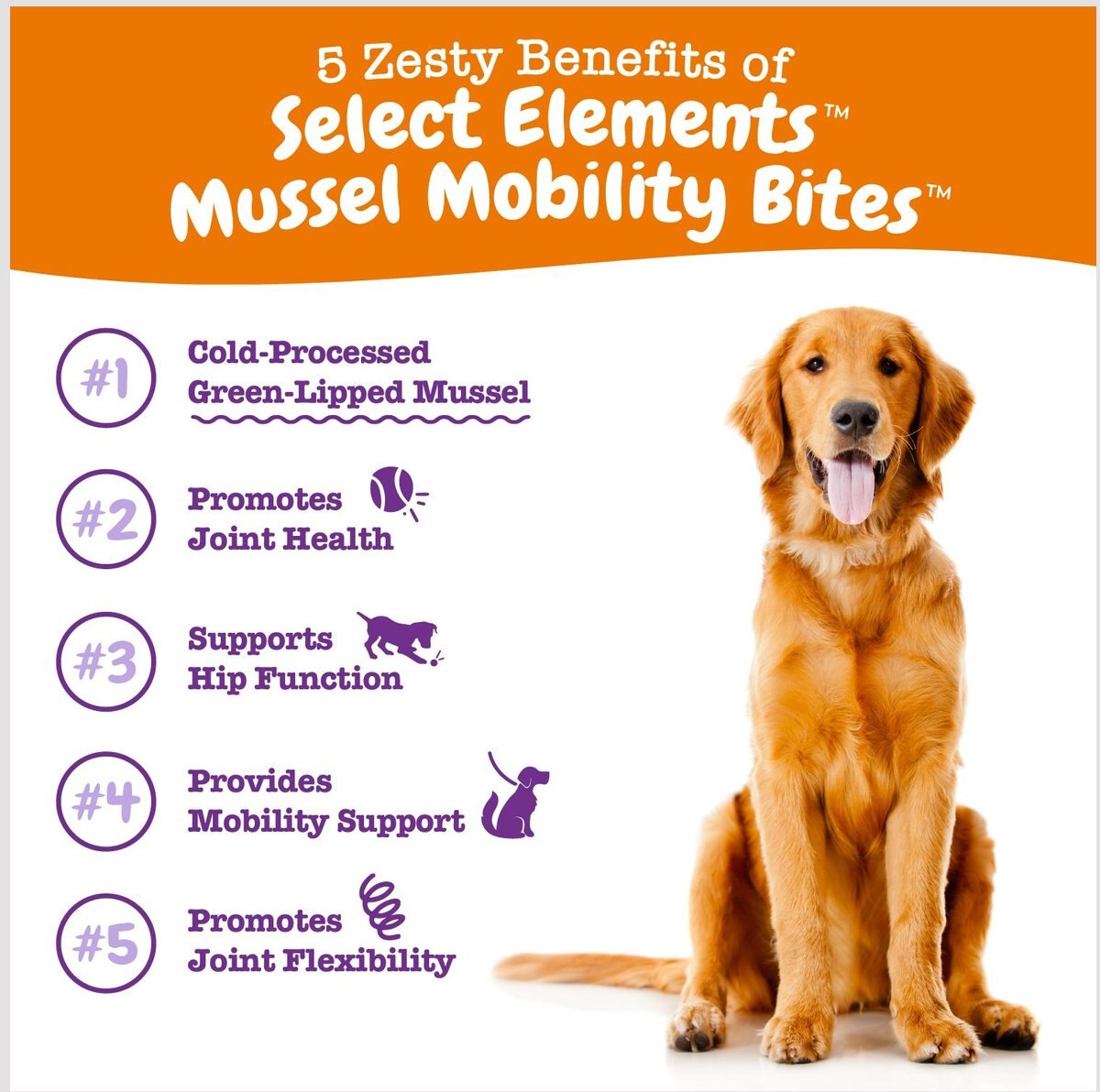 Zesty Paws Select Elements Mussel Mobility Bites Chicken Flavored Soft Chews Hip and Joint Supplement for Dogs， 90 count