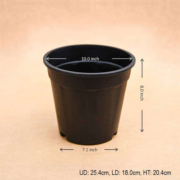 10 inch (25 cm) Grower Round Plastic Pot (Black) (set of 6)