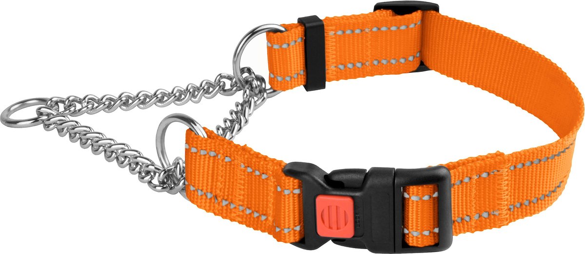 CollarDirect Nylon Reflective Martingale Dog Collar