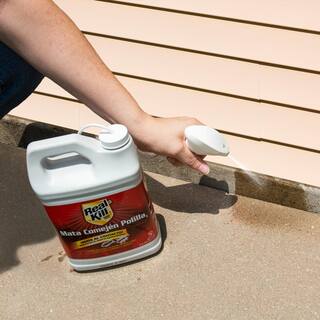 Real-Kill Termite Killer HG-97067