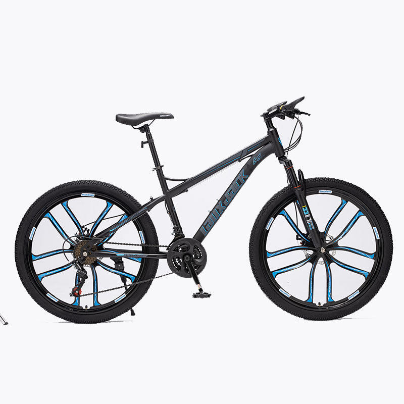 Factory customized OEM High quality Mountain bikes and Cycle with lock fork