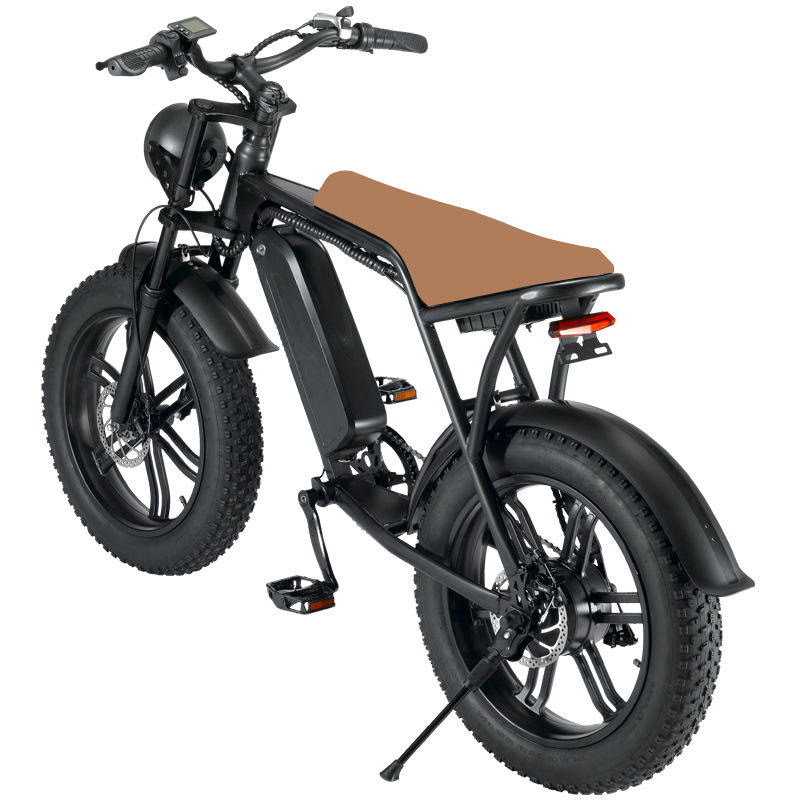 Sport Pedal Assist Ebike Electric Bicycle Electric Cycle Mountain Bike Retro Fat Tire Electric Bike 750w Fatbikes