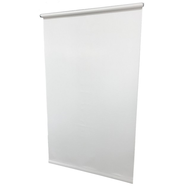 Friedland Linen White Light Filtering Window Shade 55 In W