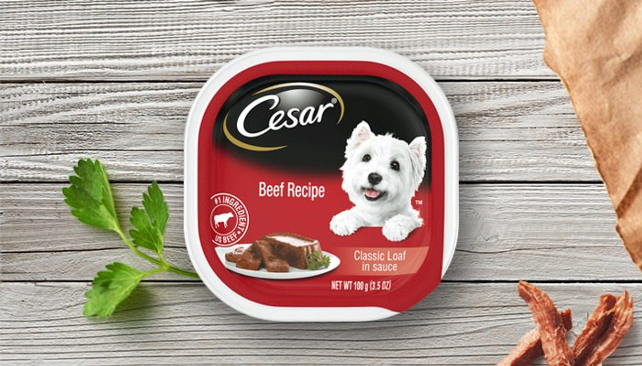 Cesar Beef Recipe Classic Loaf In Sauce Wet Dog Food， 3.5 Oz.