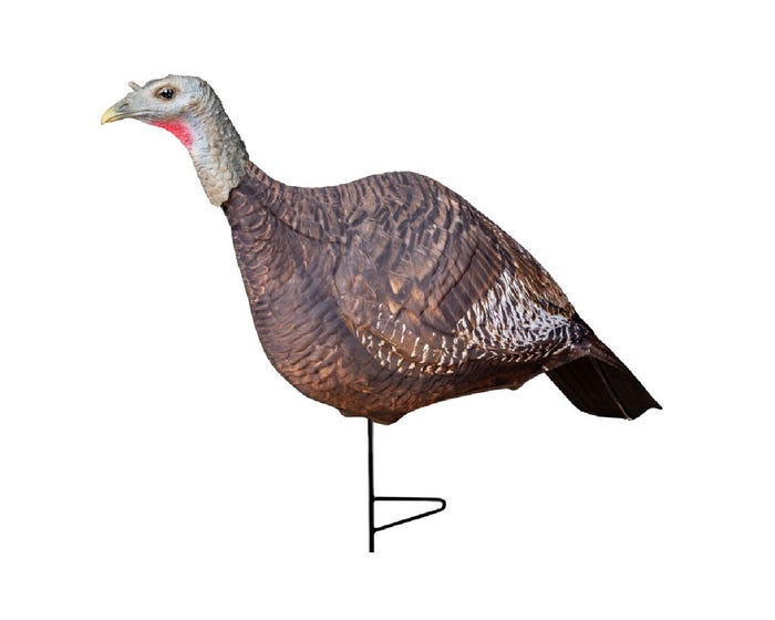 Vista Outdoors Photoform Hen Decoy - 69068