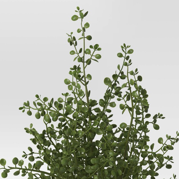 Unsheared Boxwood Artificial Plant - Threshold Designed With Studio Mcgee