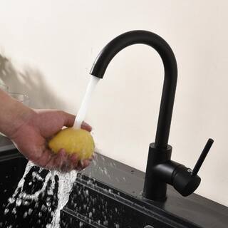 Fapully Single-Handle Gooseneck Kitchen Faucet in Matte Black QJ202204200003