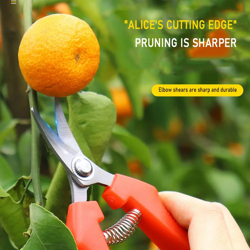 Garden Tools Secateurs Shears Pruning Tool Hand Cutter Grape Fruit Picking Weed Household Potted Metal Gardening Scissors