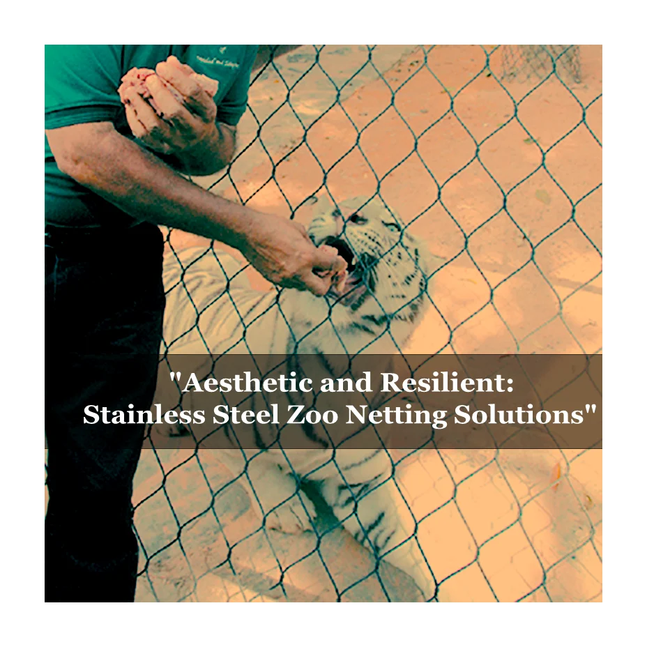 Ferruled Inox Cable Monkey Enclosure Flexible Animal Cages Ferrule Type Ss Wire Rope Mesh Netting