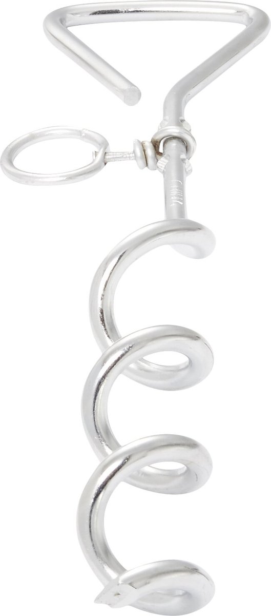 Aspen Pet Spiral Tie-Out Stake