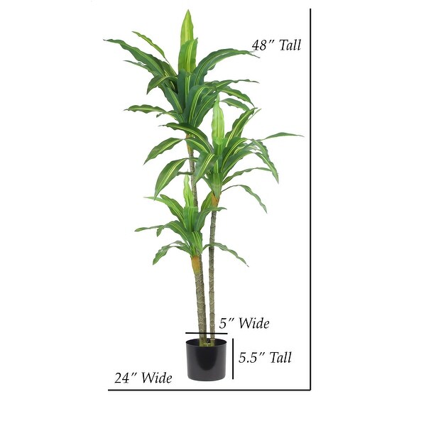 The Mod Greenhouse Artificial Dracaena Plant in Black Matte Planter's Pot