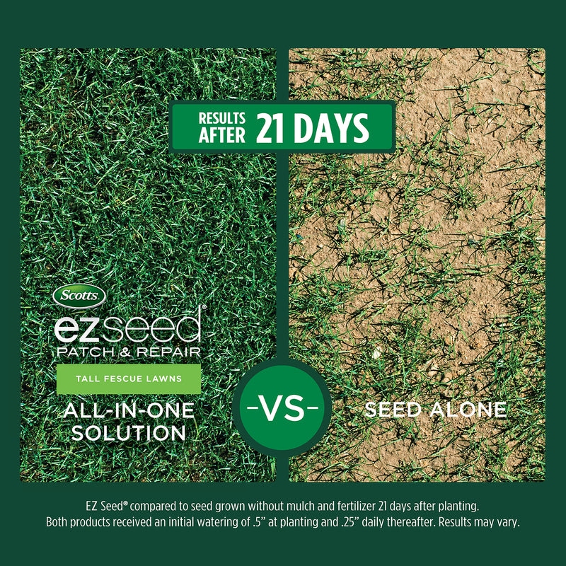 EZ SEED TALL FESCUE 10#