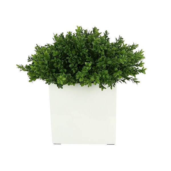 UV Rated Outdoor Boxwood in a Square Fiberstone Pot